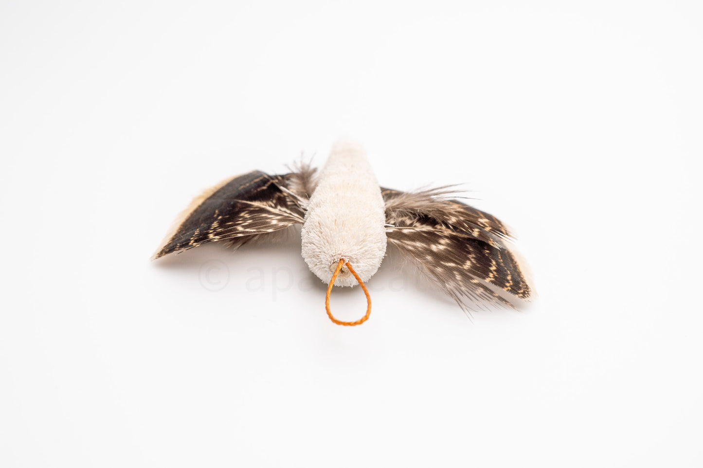 True North Snowy Moth