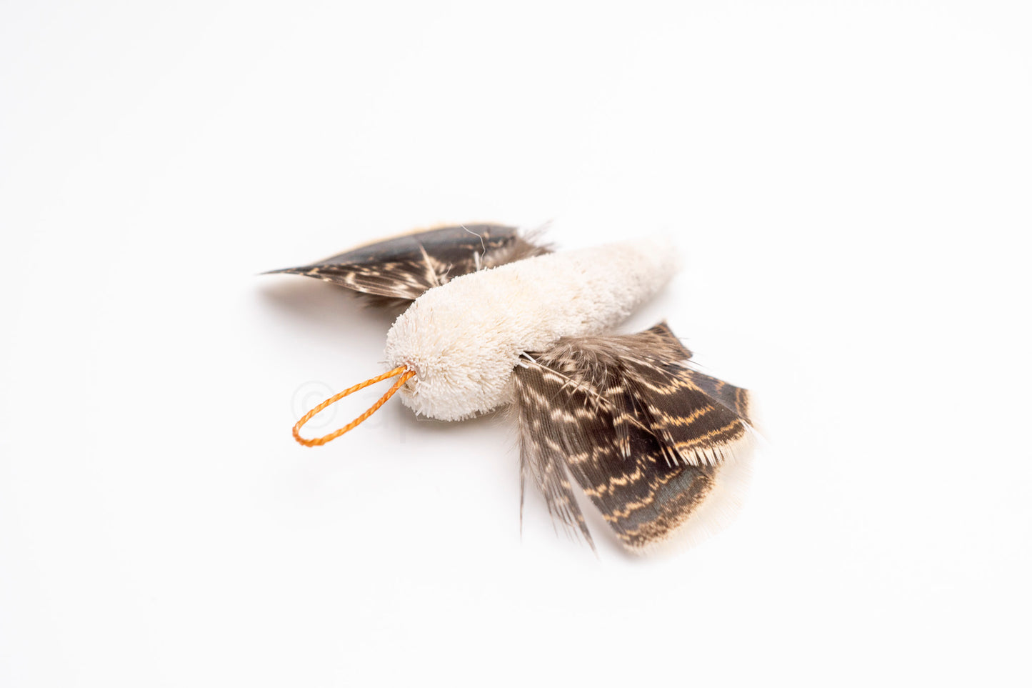 True North Snowy Moth