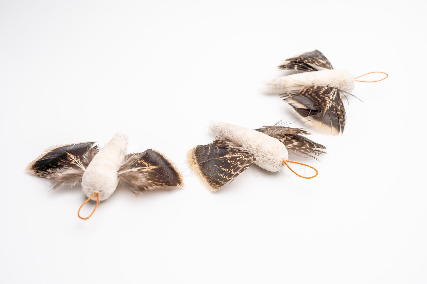 True North Snowy Moth