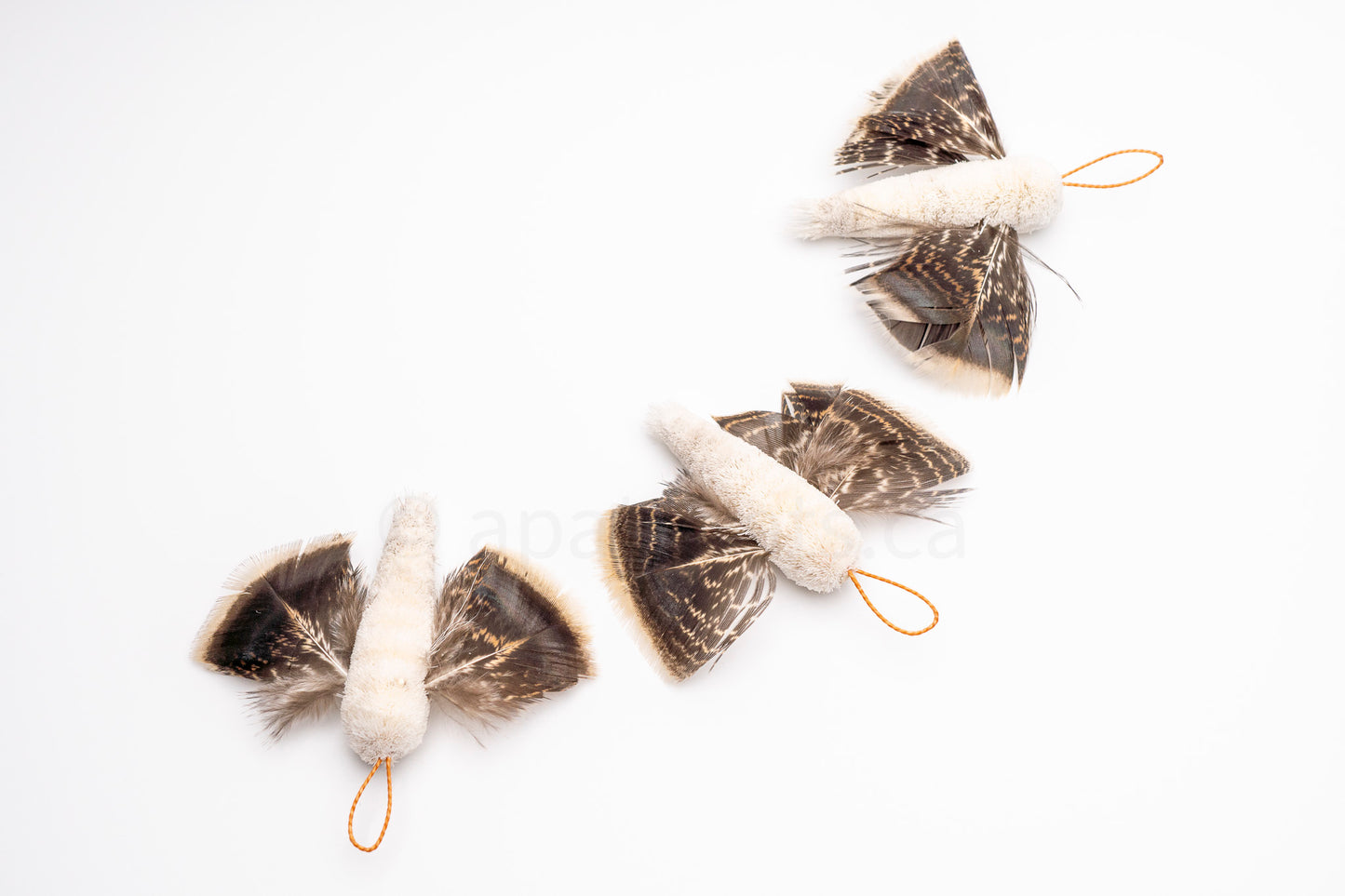 True North Snowy Moth