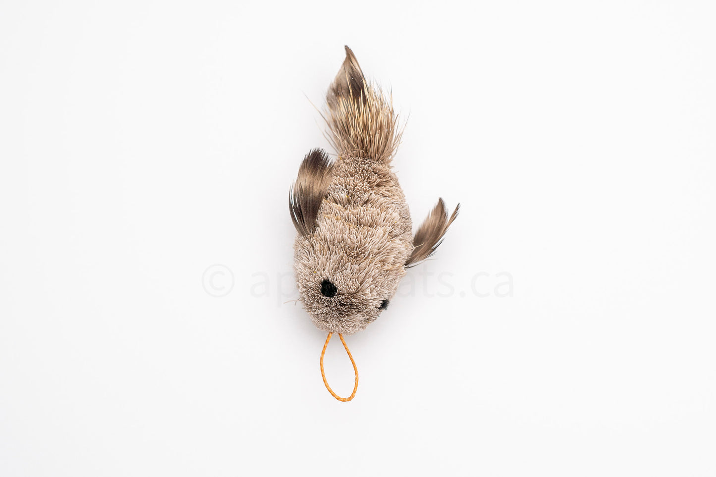 Vibrant Meadow Smallmouth Bass Fish