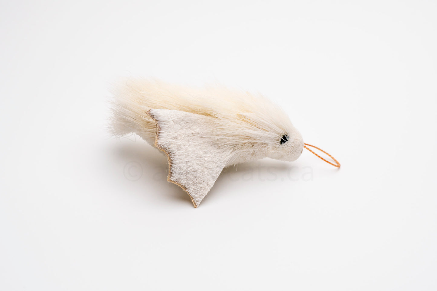 True North Honduran White Bat