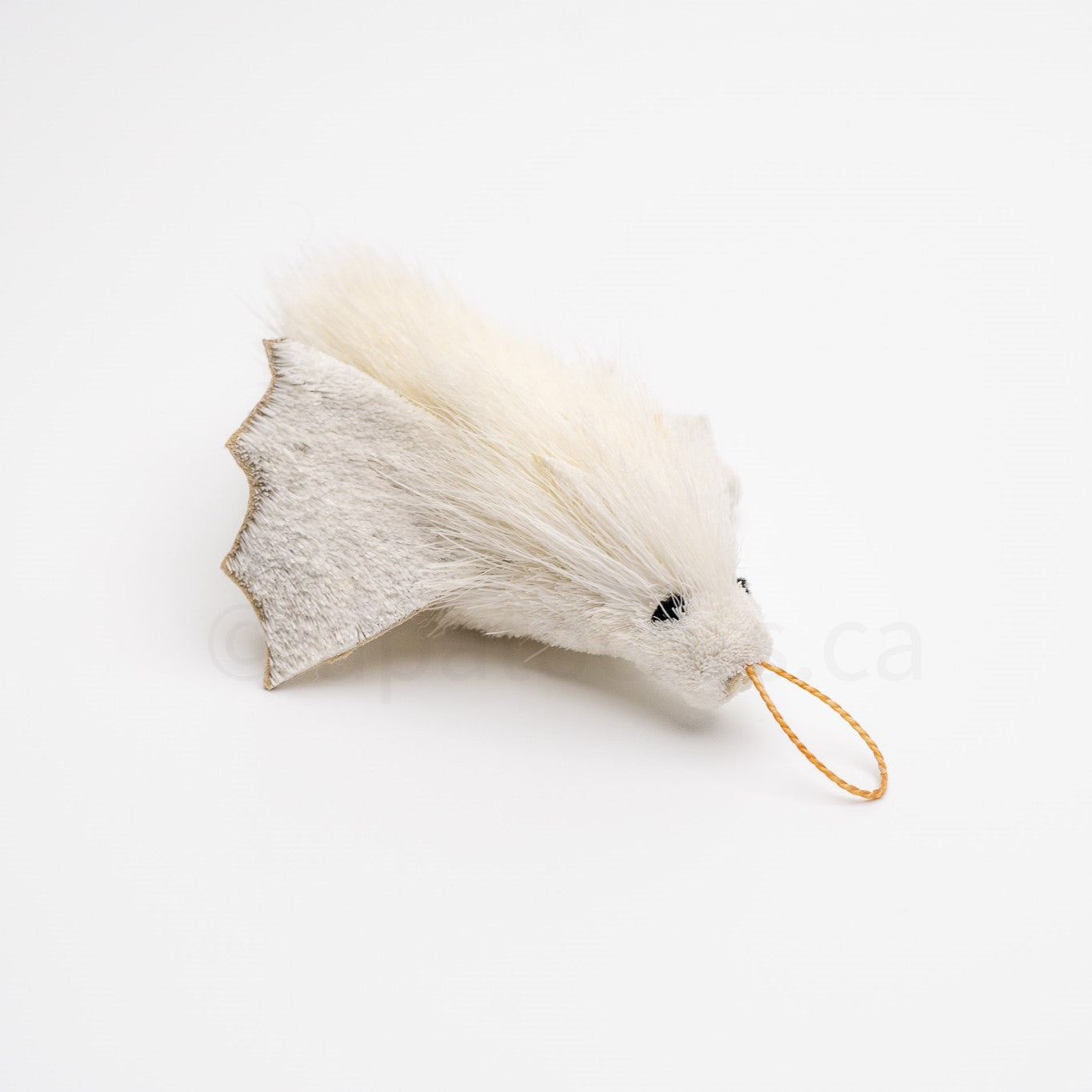 True North Honduran White Bat
