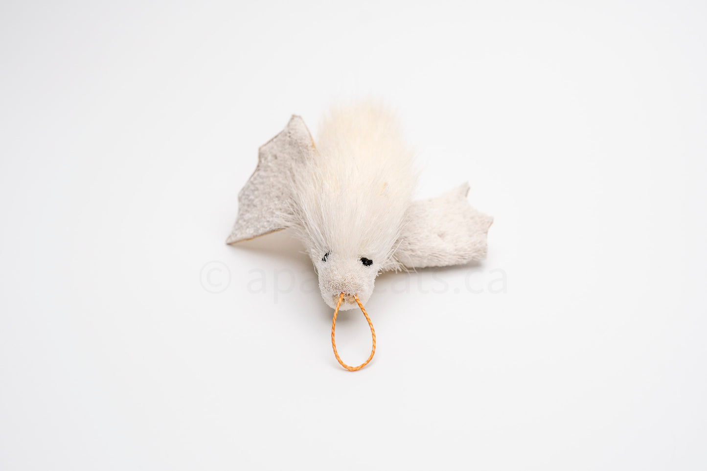 True North Honduran White Bat