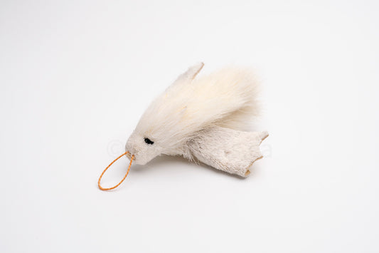 True North Honduran White Bat