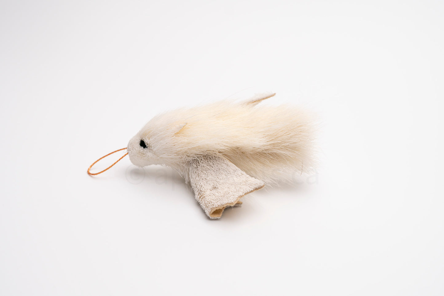True North Honduran White Bat