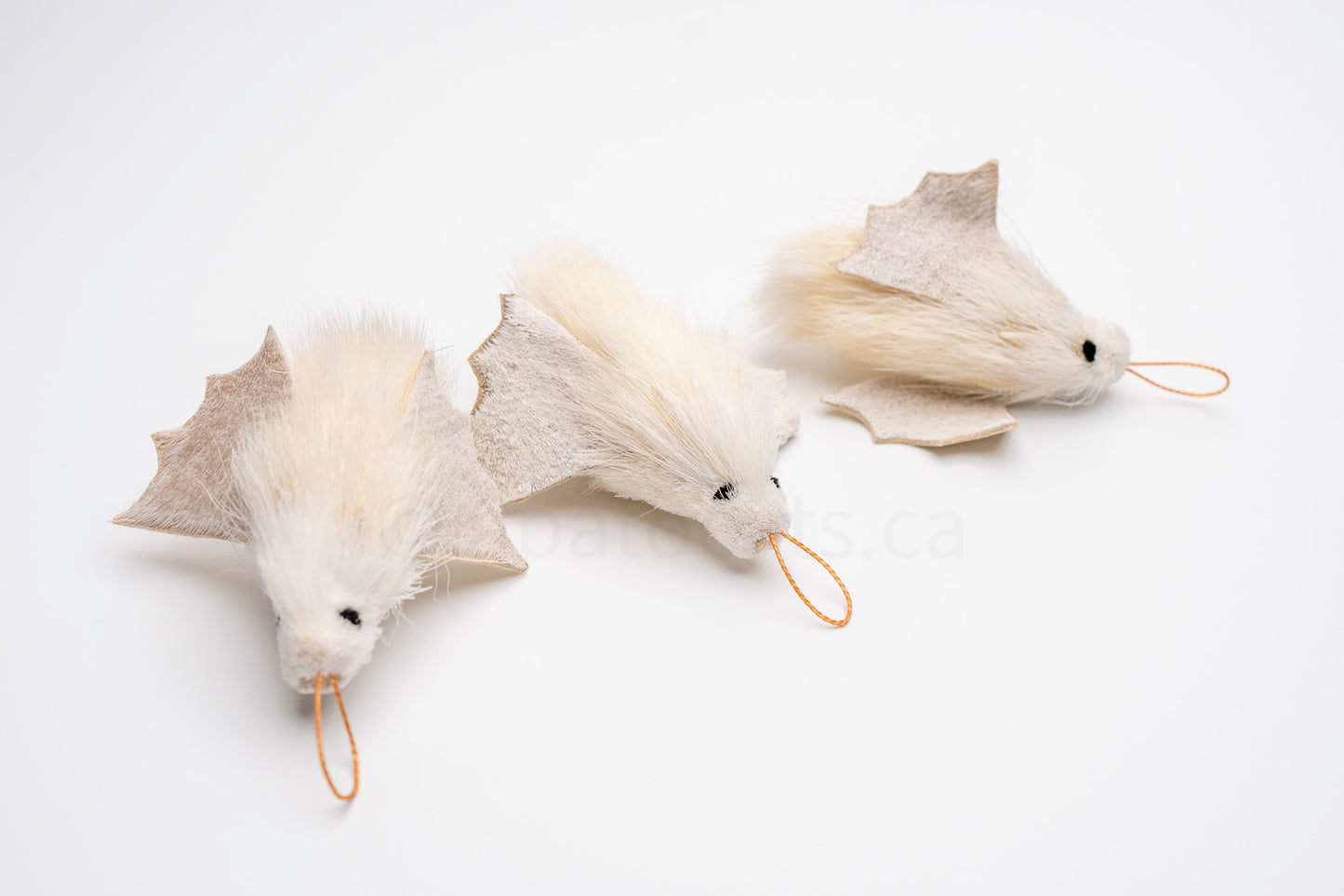 True North Honduran White Bat