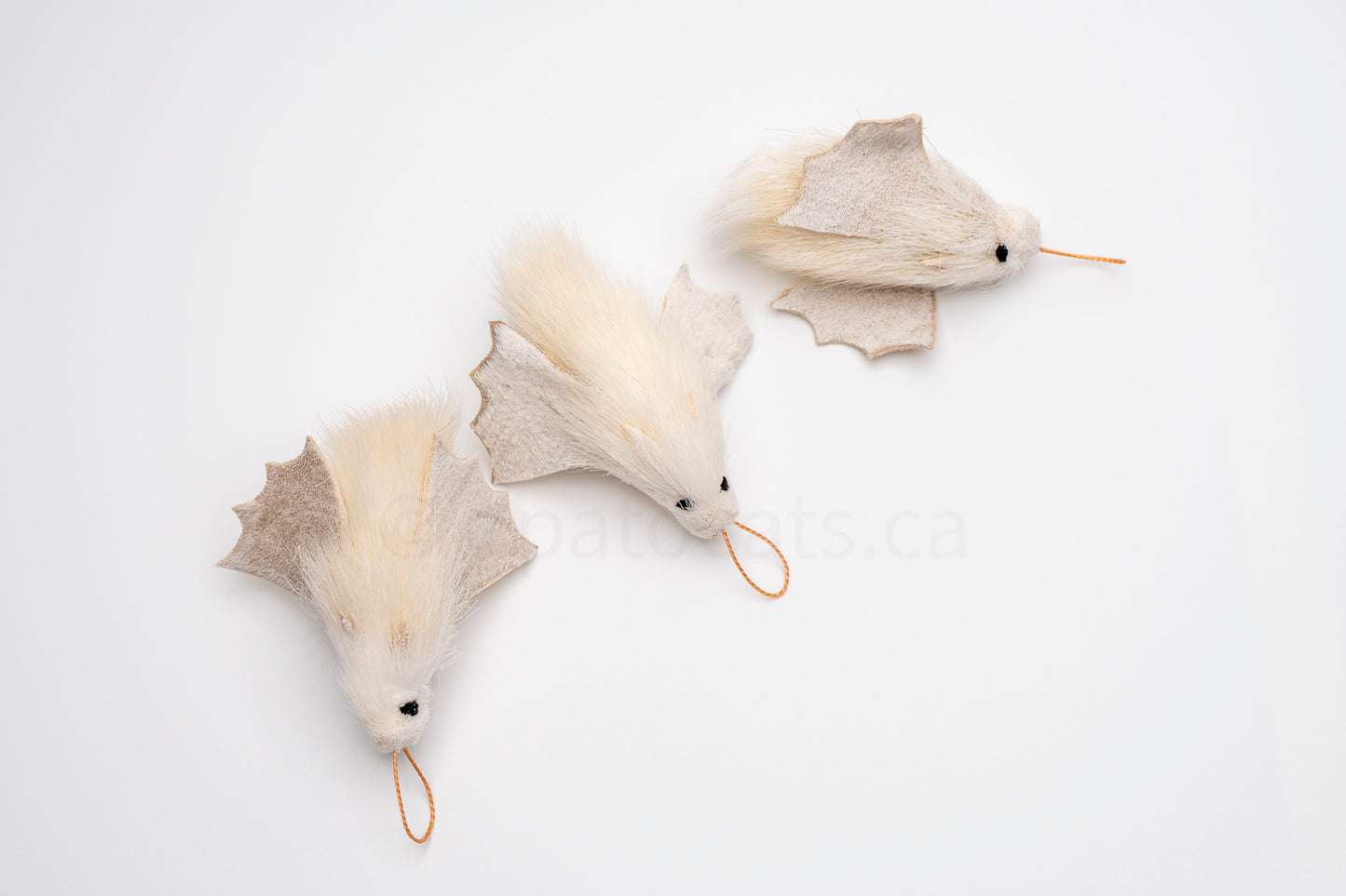True North Honduran White Bat