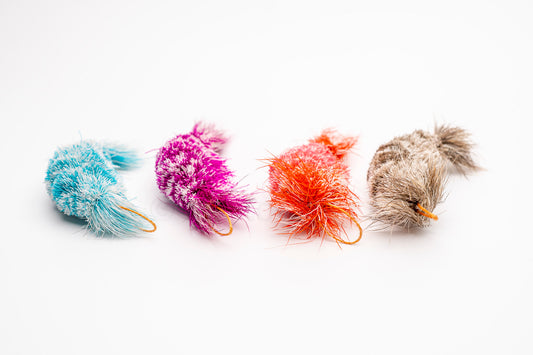 Vibrant Meadow Neocaridina Davidi Shrimp