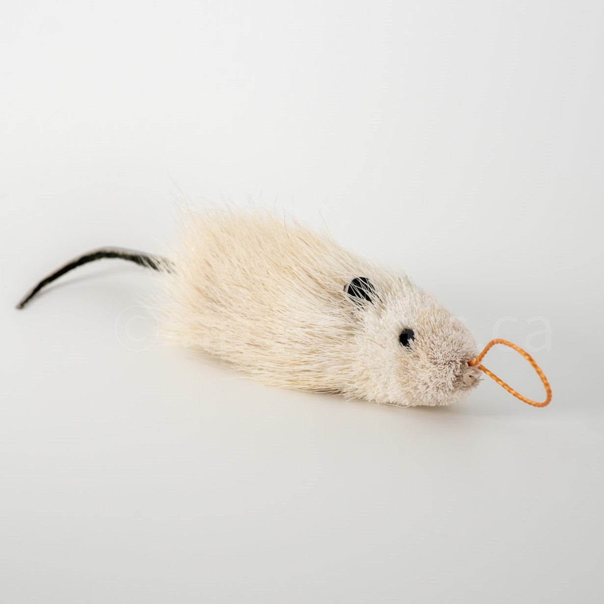 True North Great Angora Mouse