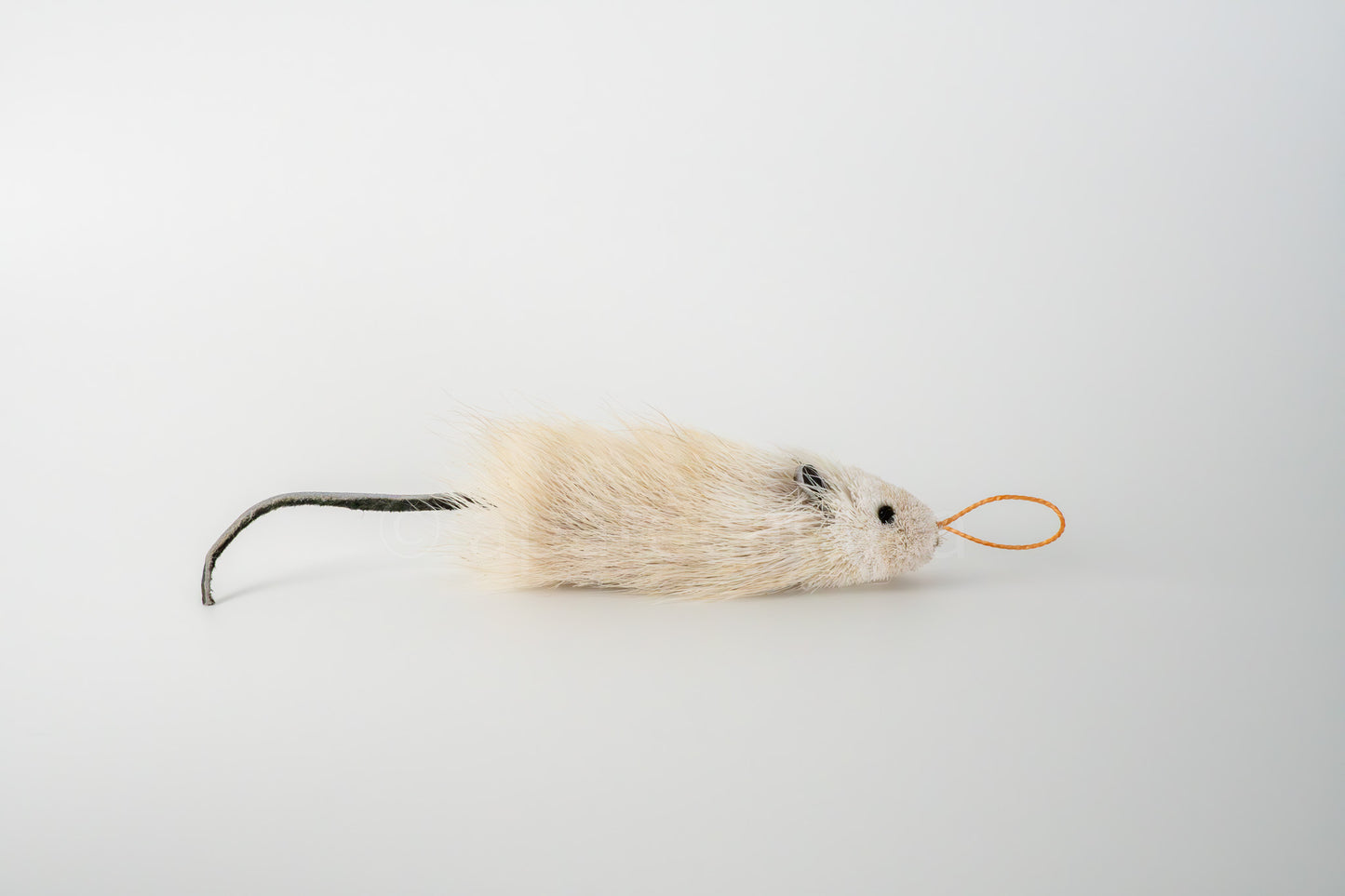 True North Great Angora Mouse