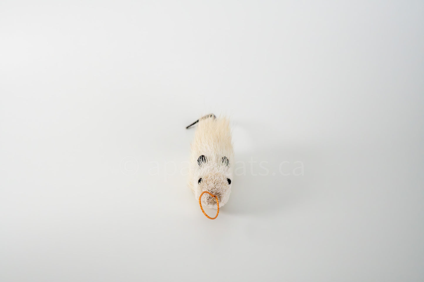 True North Great Angora Mouse