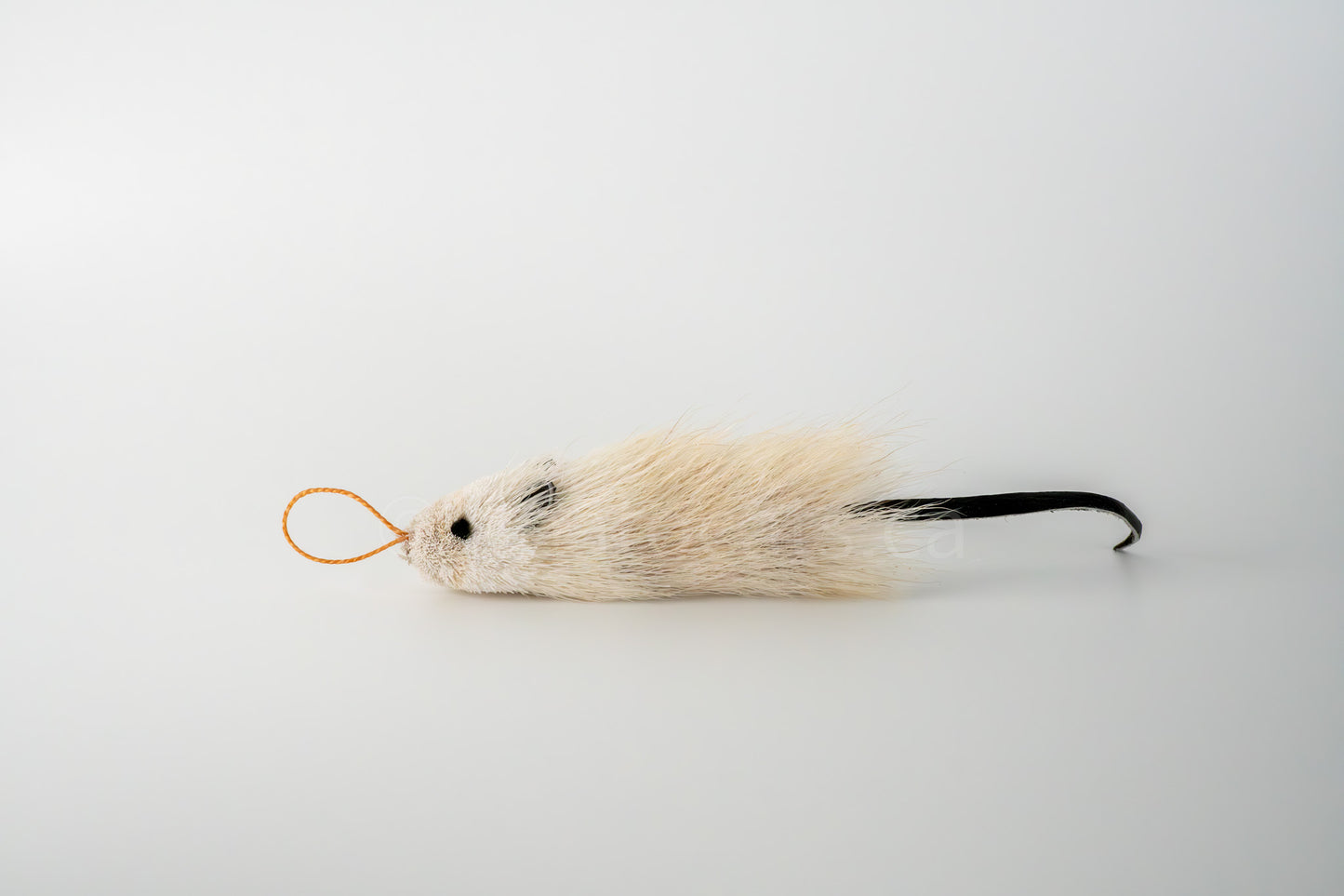 True North Great Angora Mouse