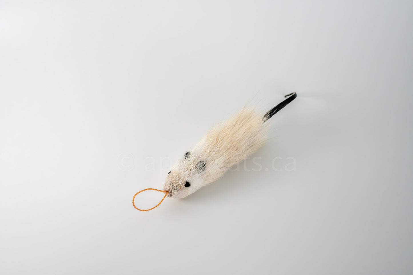 True North Great Angora Mouse