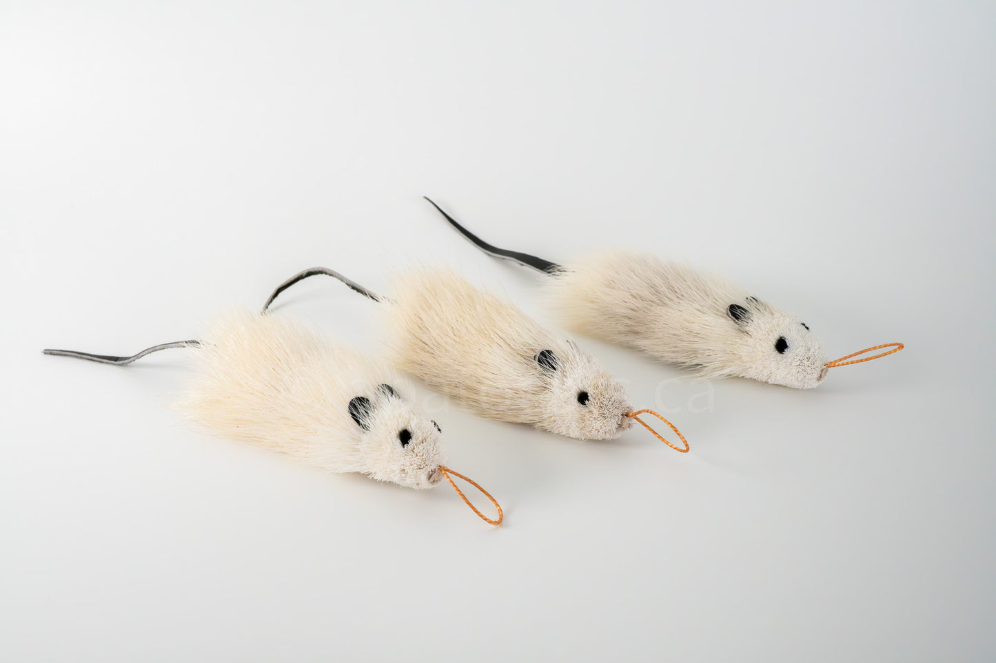 True North Great Angora Mouse