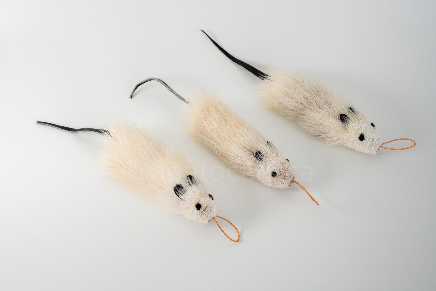 True North Great Angora Mouse