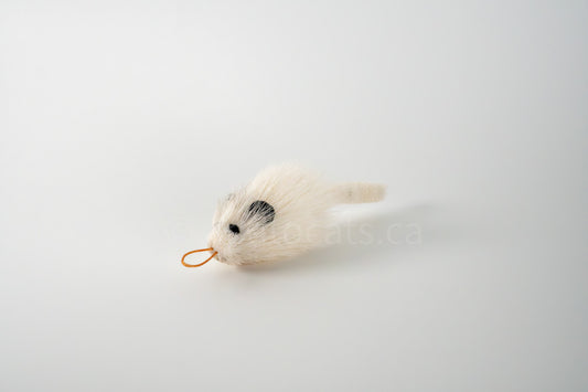 True North Travelling Chinchilla