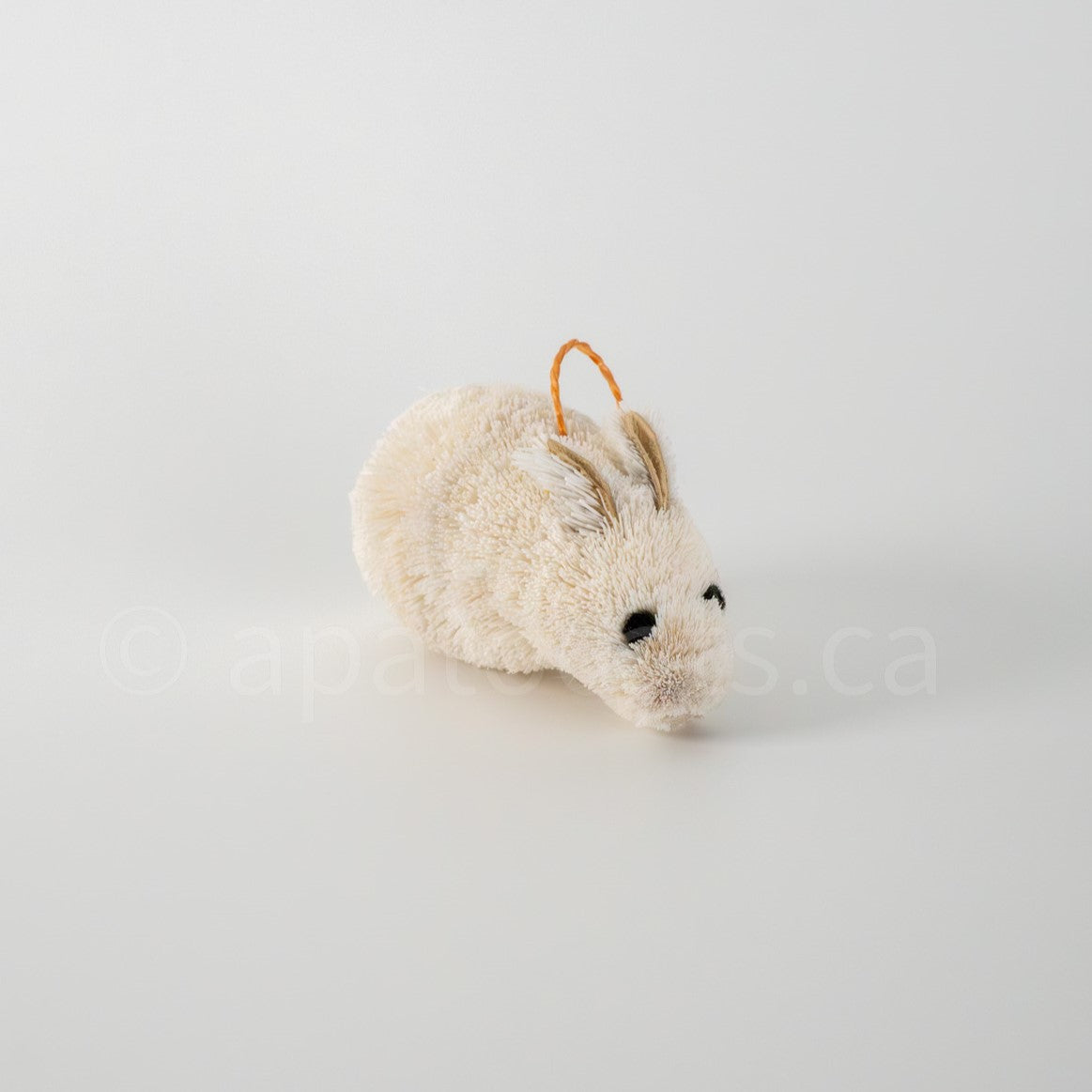 True North Grazing Rabbit