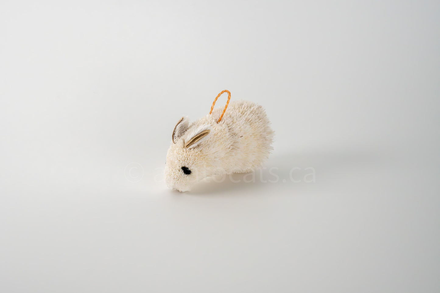 True North Standing Rabbit