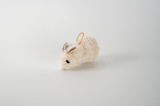 True North Standing Rabbit