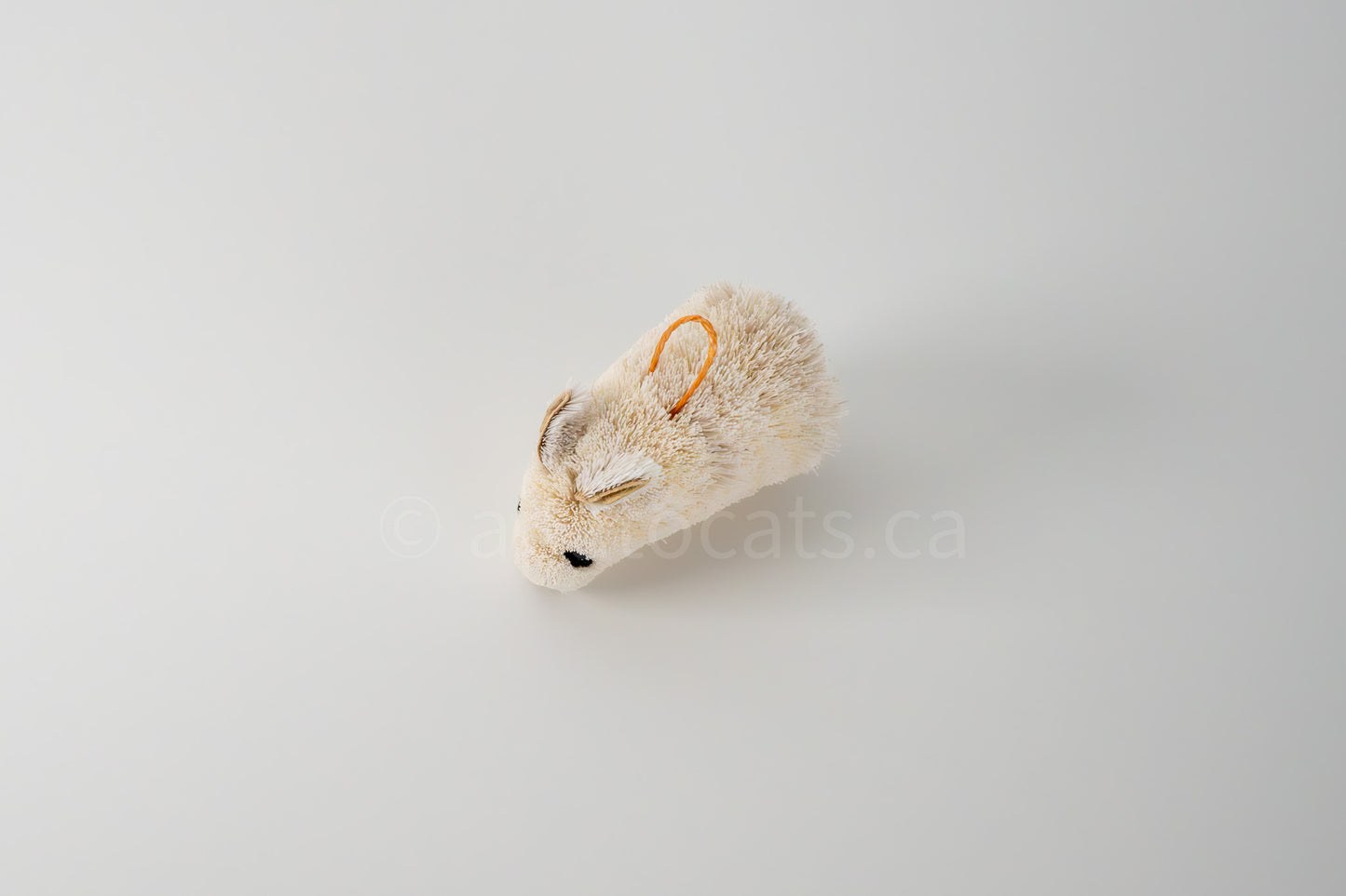 True North Standing Rabbit