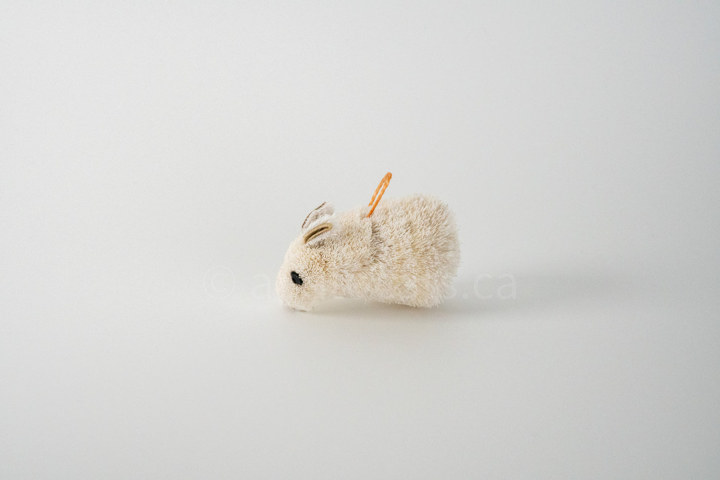 True North Standing Rabbit