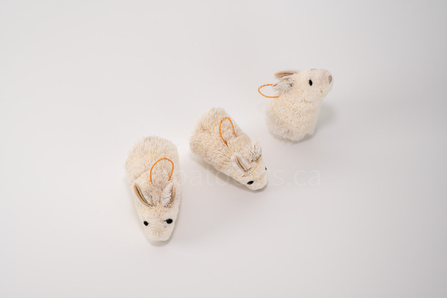 True North Standing Rabbit