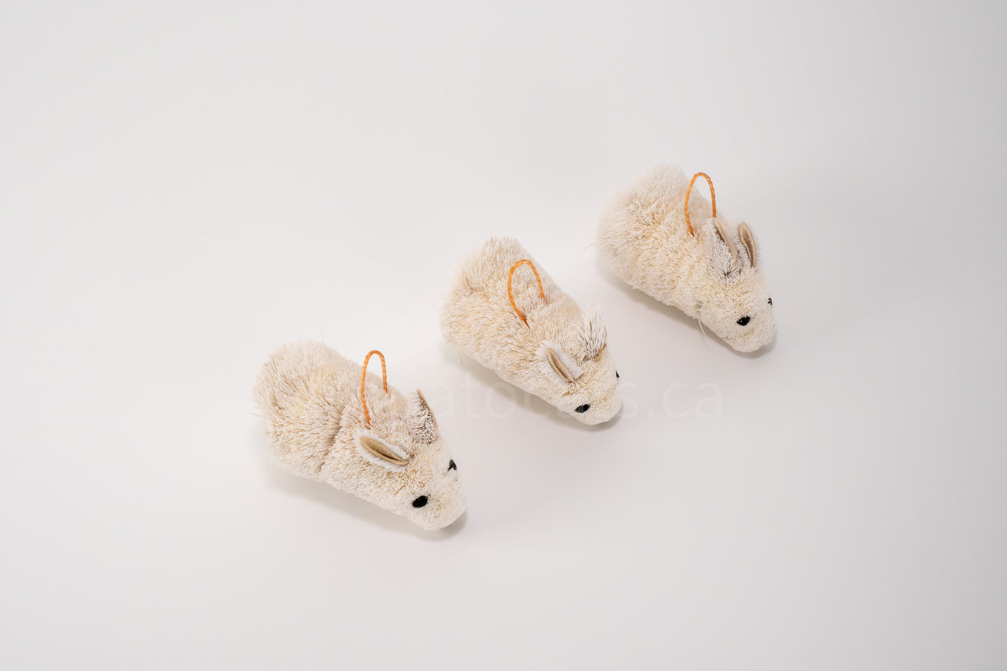 True North Standing Rabbit