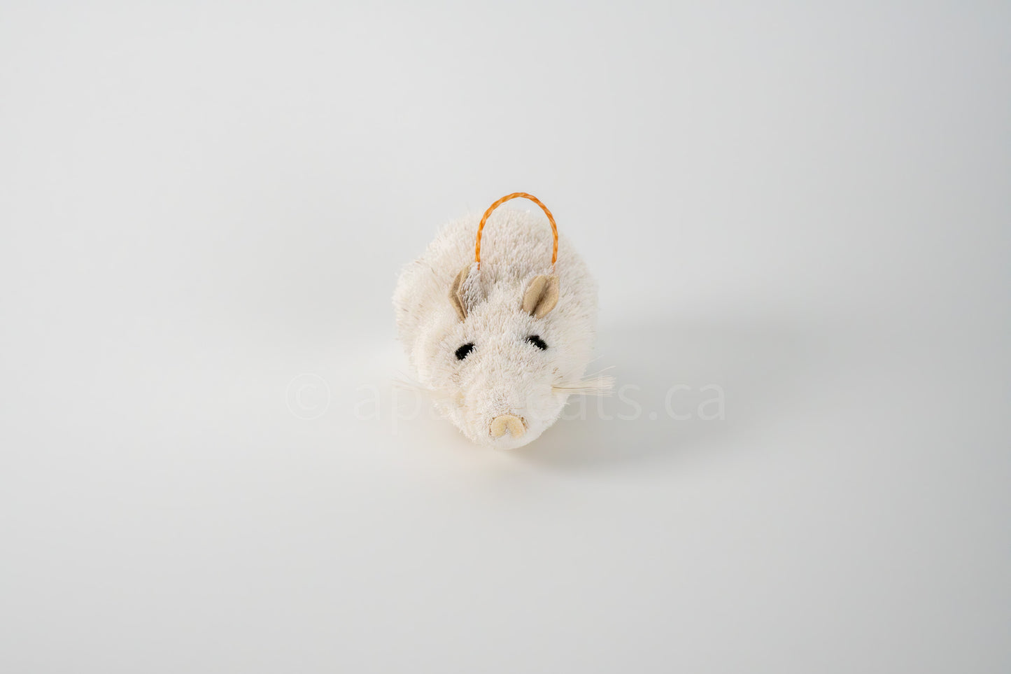 True North Great Hare