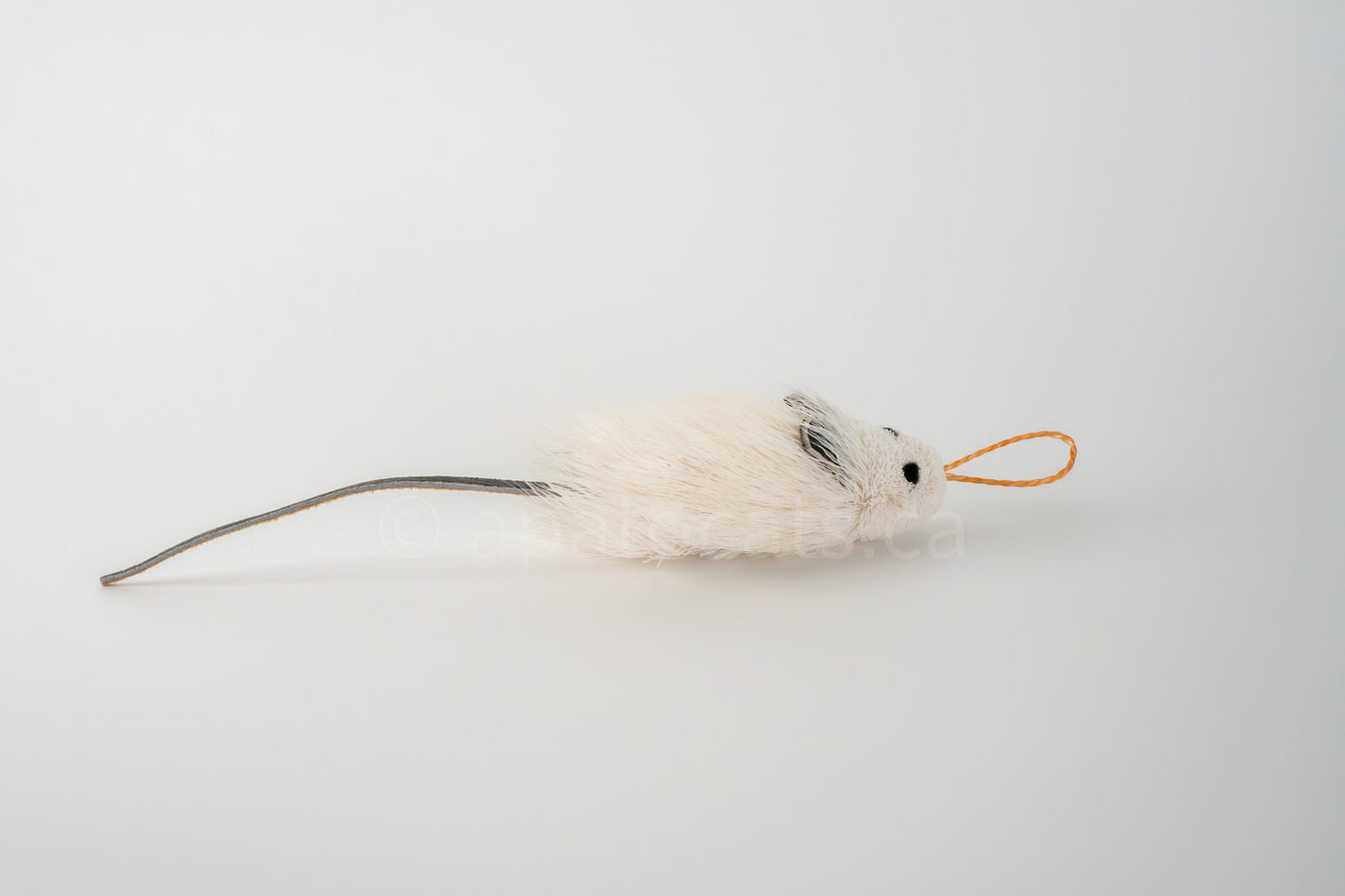 True North Angora Mouse