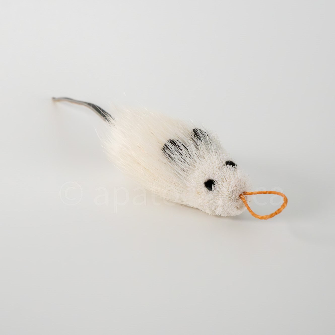 True North Angora Mouse