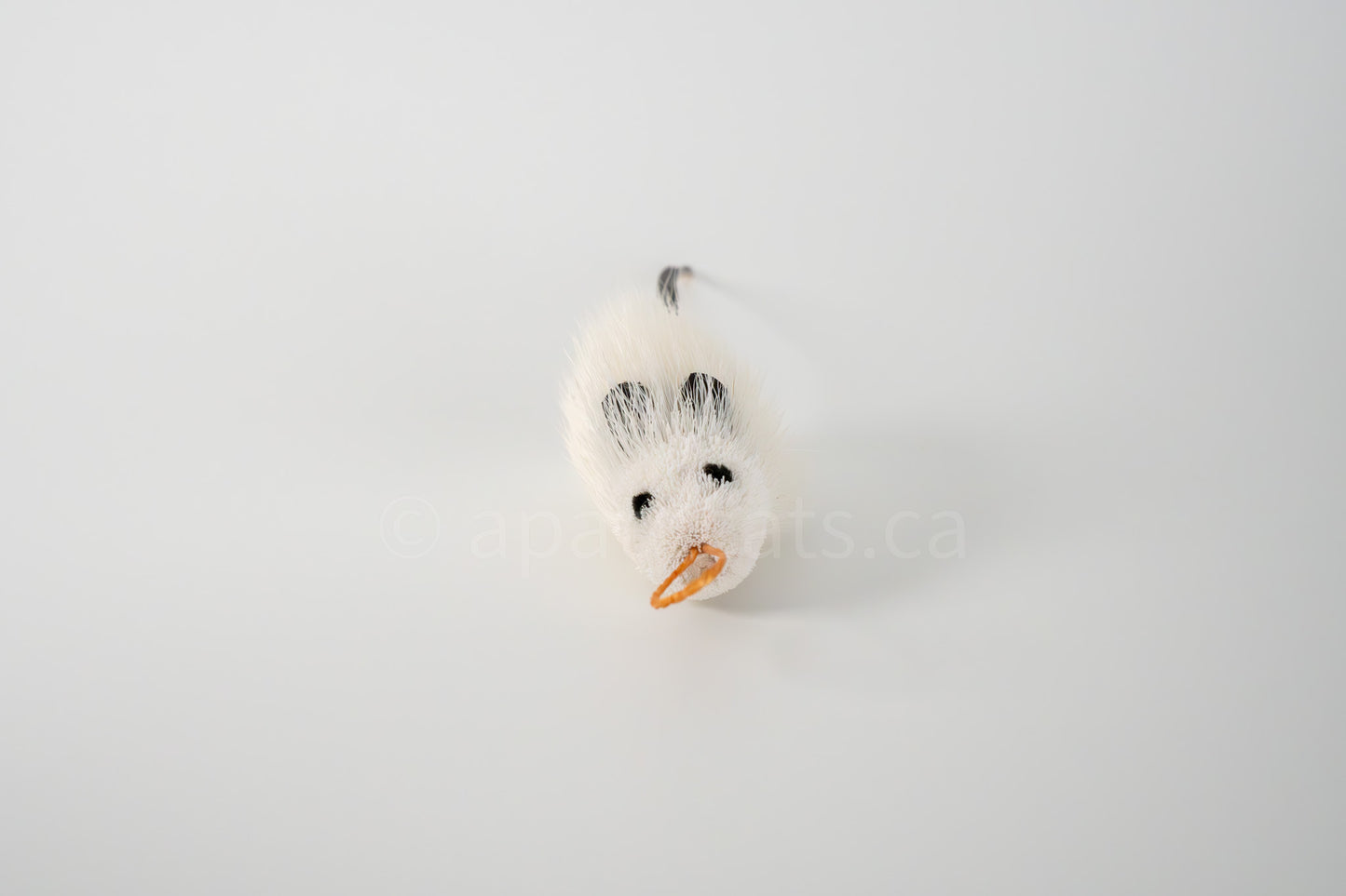 True North Angora Mouse