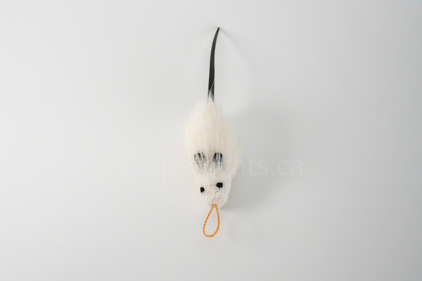 True North Angora Mouse