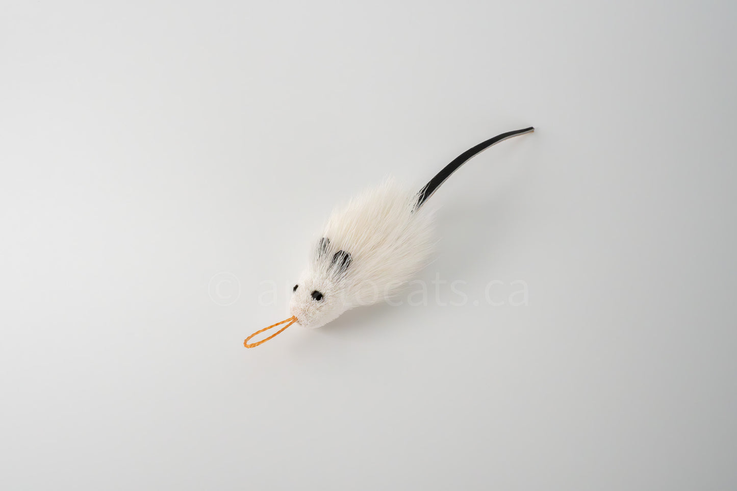True North Angora Mouse