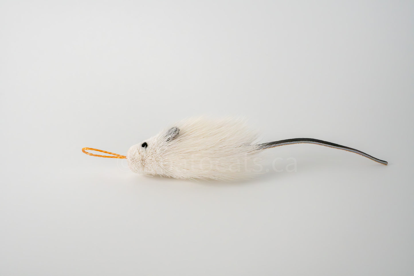 True North Angora Mouse