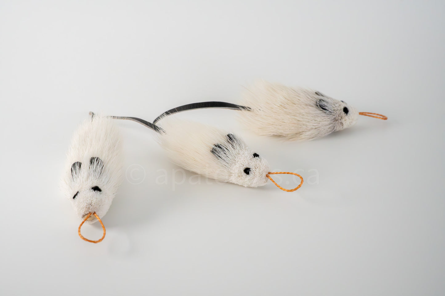 True North Angora Mouse