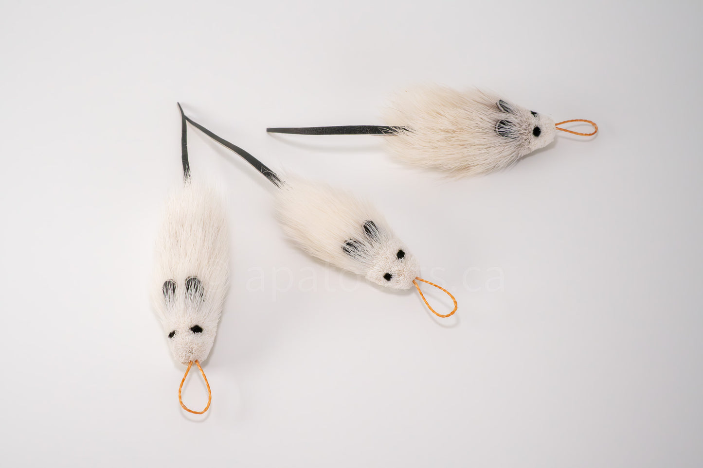 True North Angora Mouse
