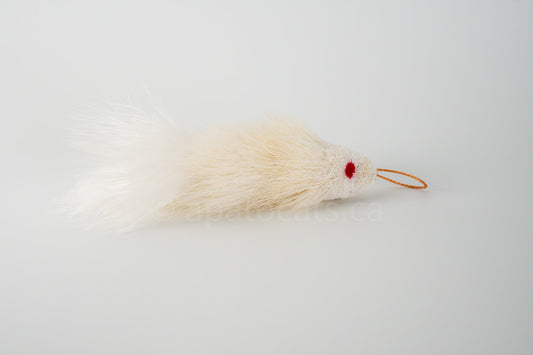 True North Snow White Guppy