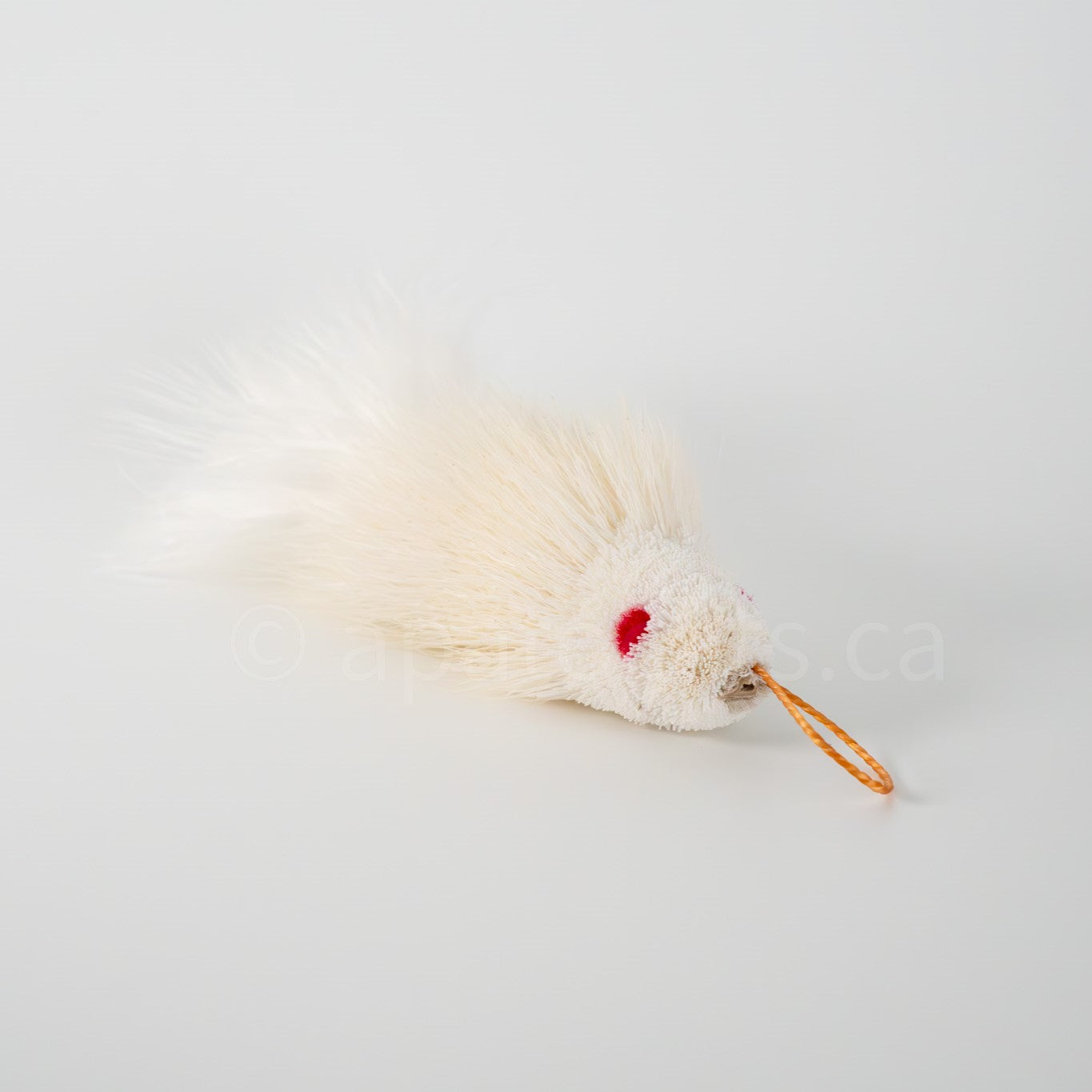 True North Snow White Guppy