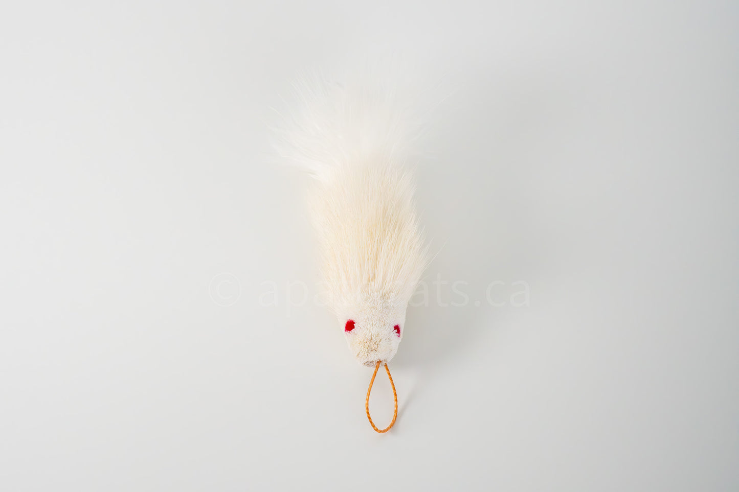 True North Snow White Guppy