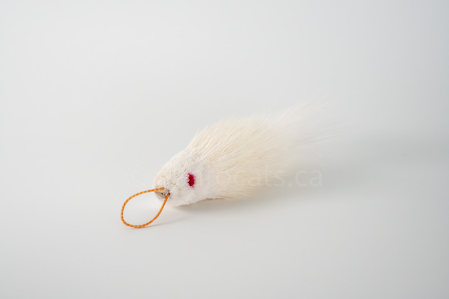 True North Snow White Guppy