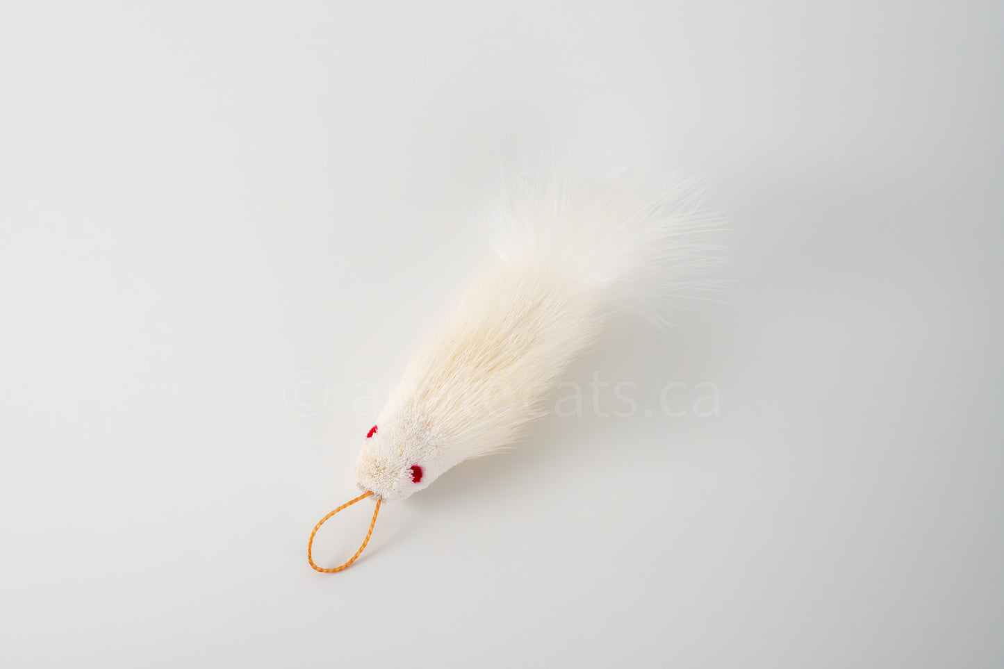 True North Snow White Guppy
