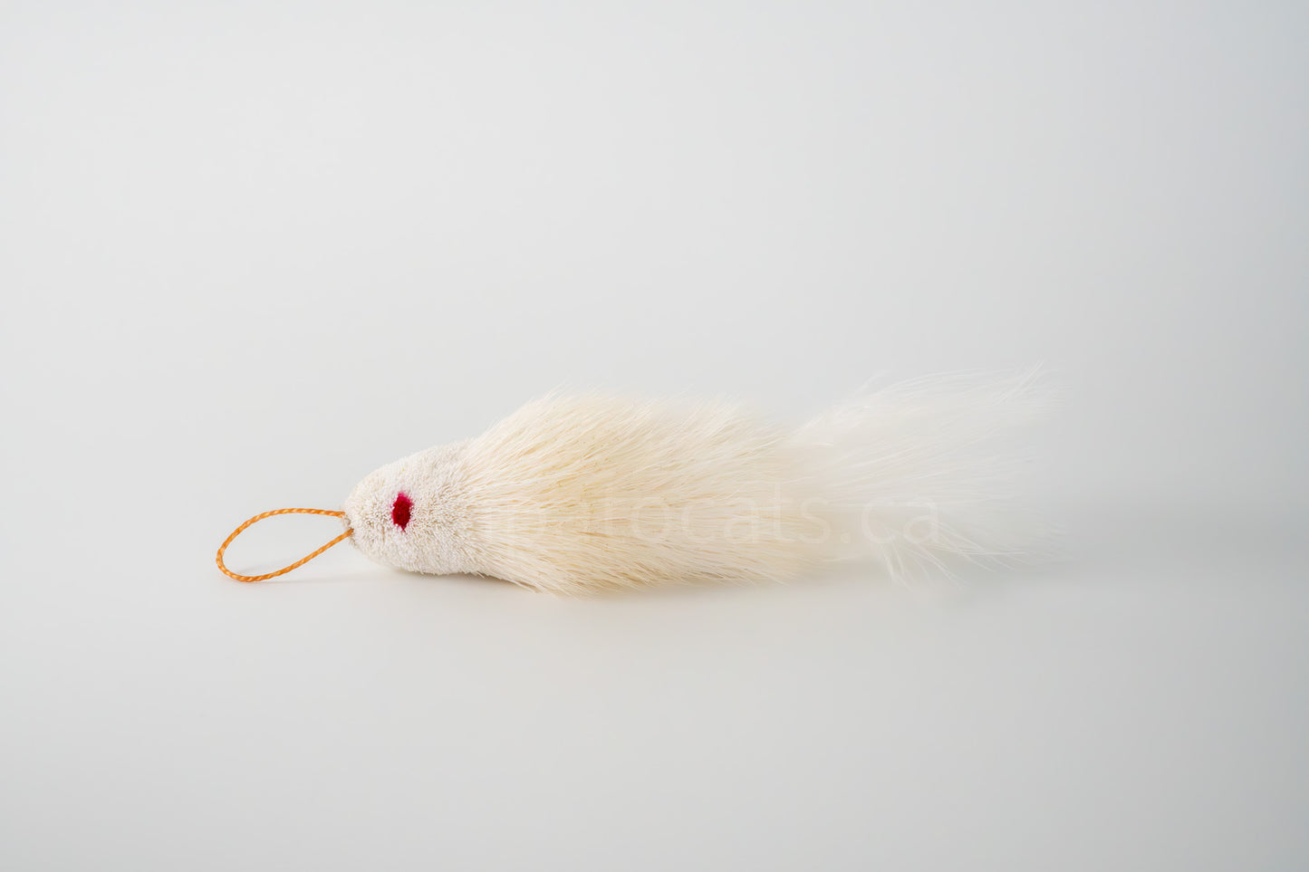 True North Snow White Guppy