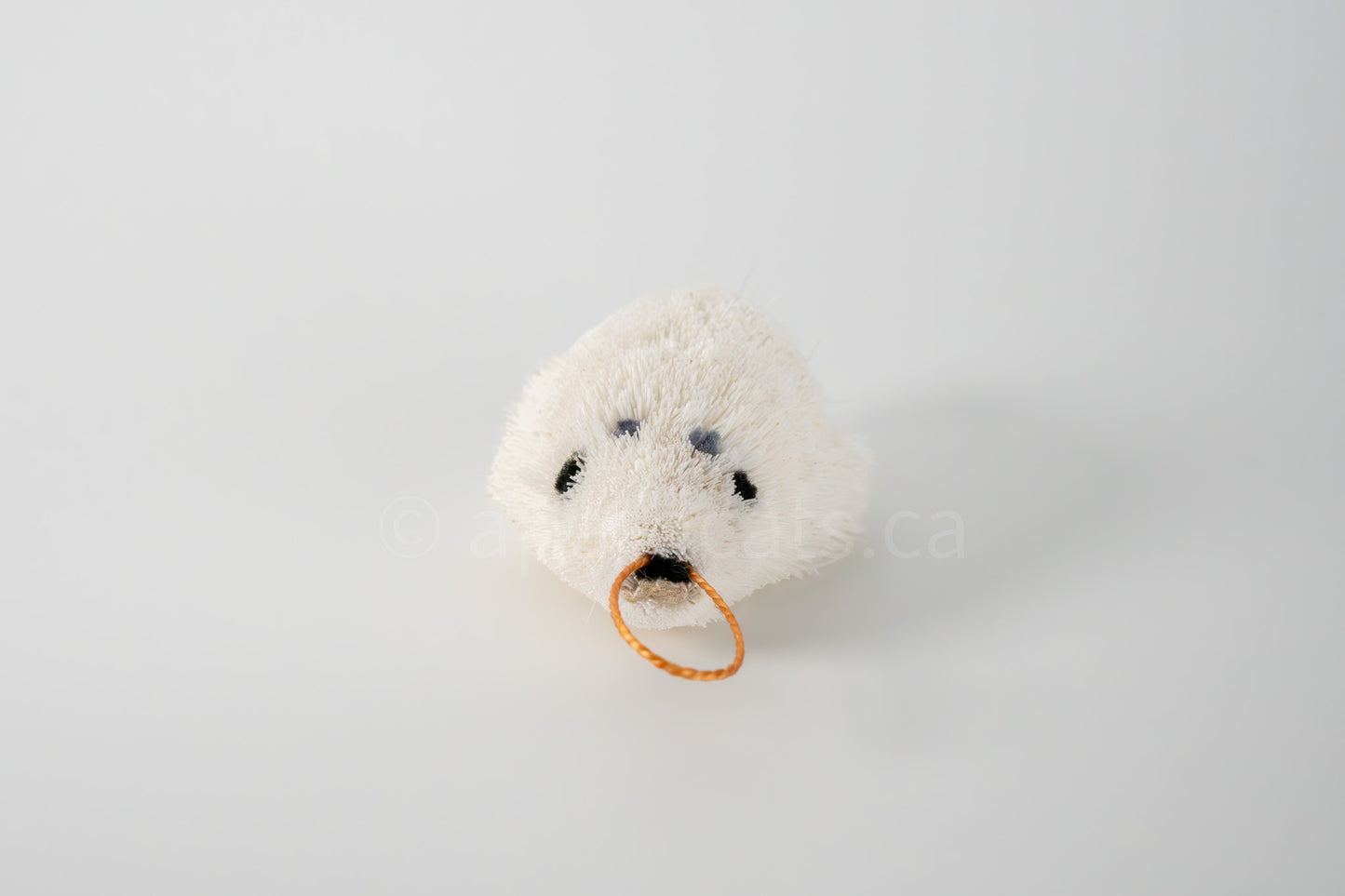 True North Seal Pup