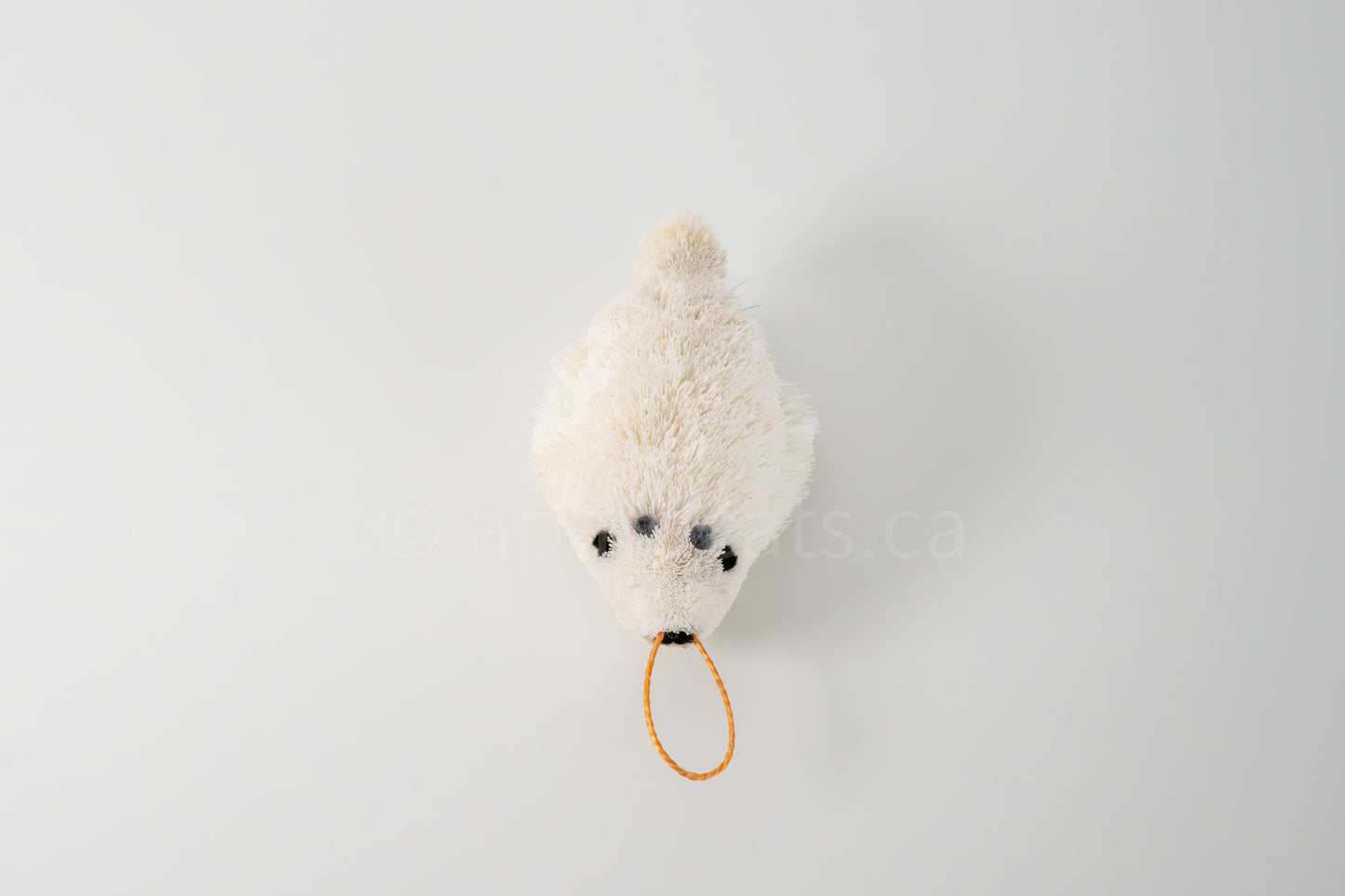 True North Seal Pup