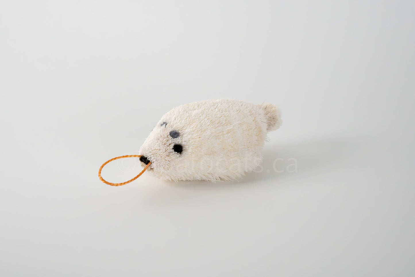 True North Seal Pup