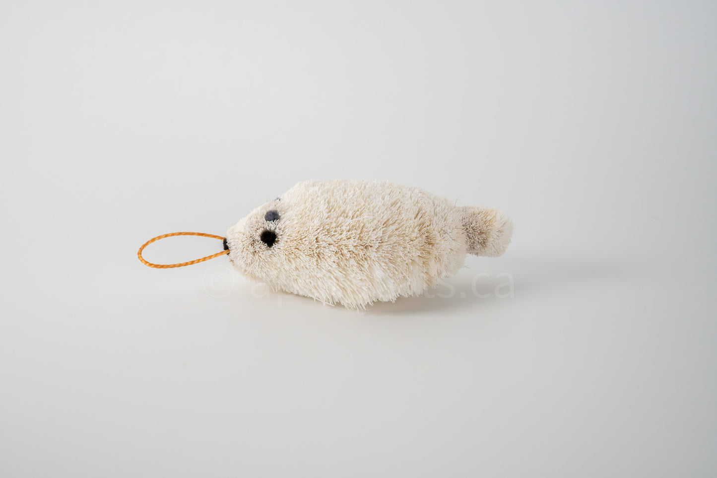 True North Seal Pup
