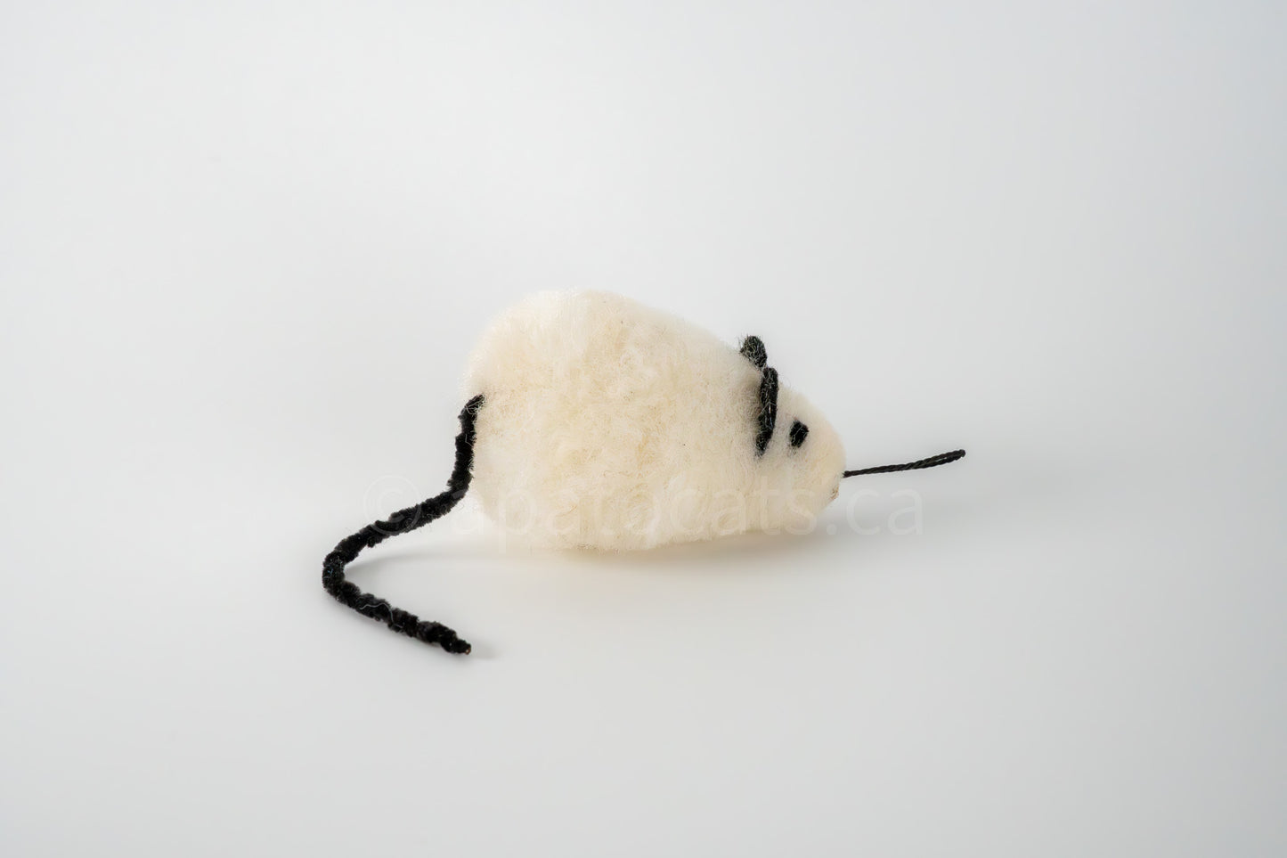 True North Wooly Mouse