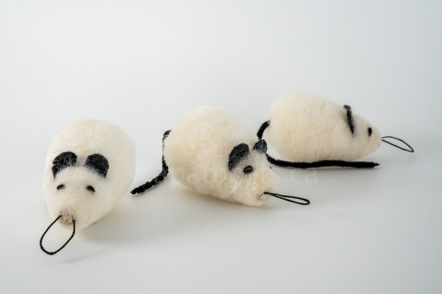 True North Wooly Mouse