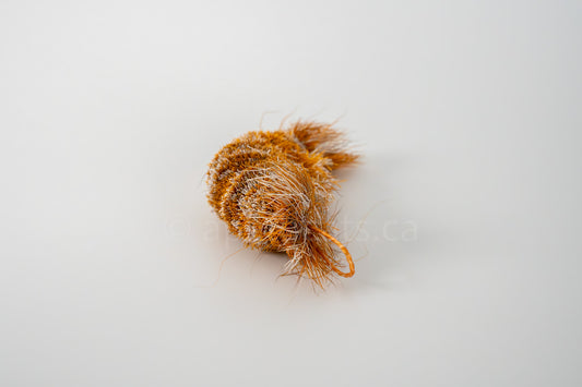 Vibrant Meadow Red Cherry (Actually Orange) Shrimp